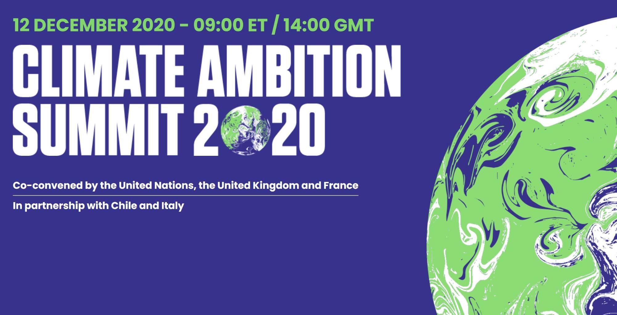 Climate Ambition Summit President Hoyer calls on partners to